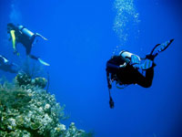 La Paz Scuba Diving 